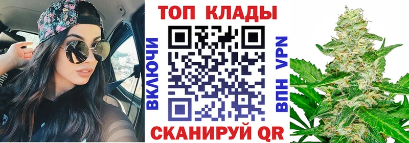 Где найти наркотики Судак Альфа ПВП  Мефедрон  Псилоцибиновые грибы  ГАШ 