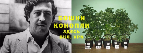 прущие крисы Александровское
